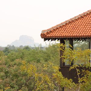 Sigiriya Jungles